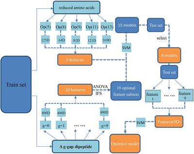 Identifying Antioxidant Proteins by Combining Multiple Methods